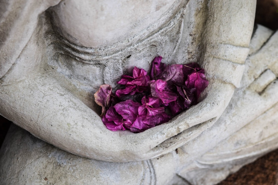 Crafting a Path to Success Through Meditation and Strategy