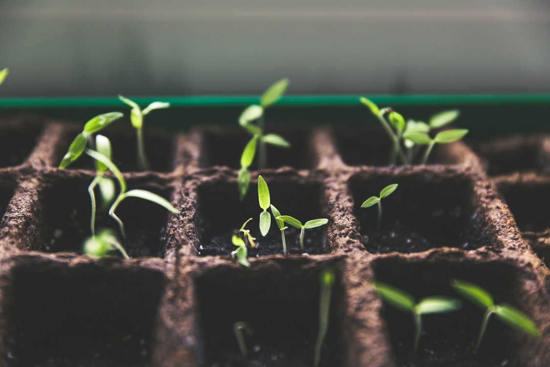 Navigating Parenting Challenges with Personal Growth