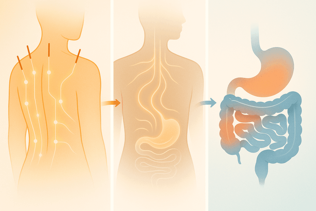 How Acupuncture Targets Digestive Problems