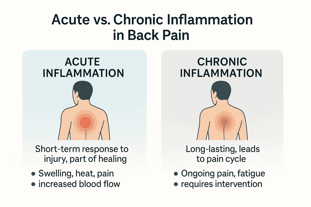 Reducing Inflammation at the Source