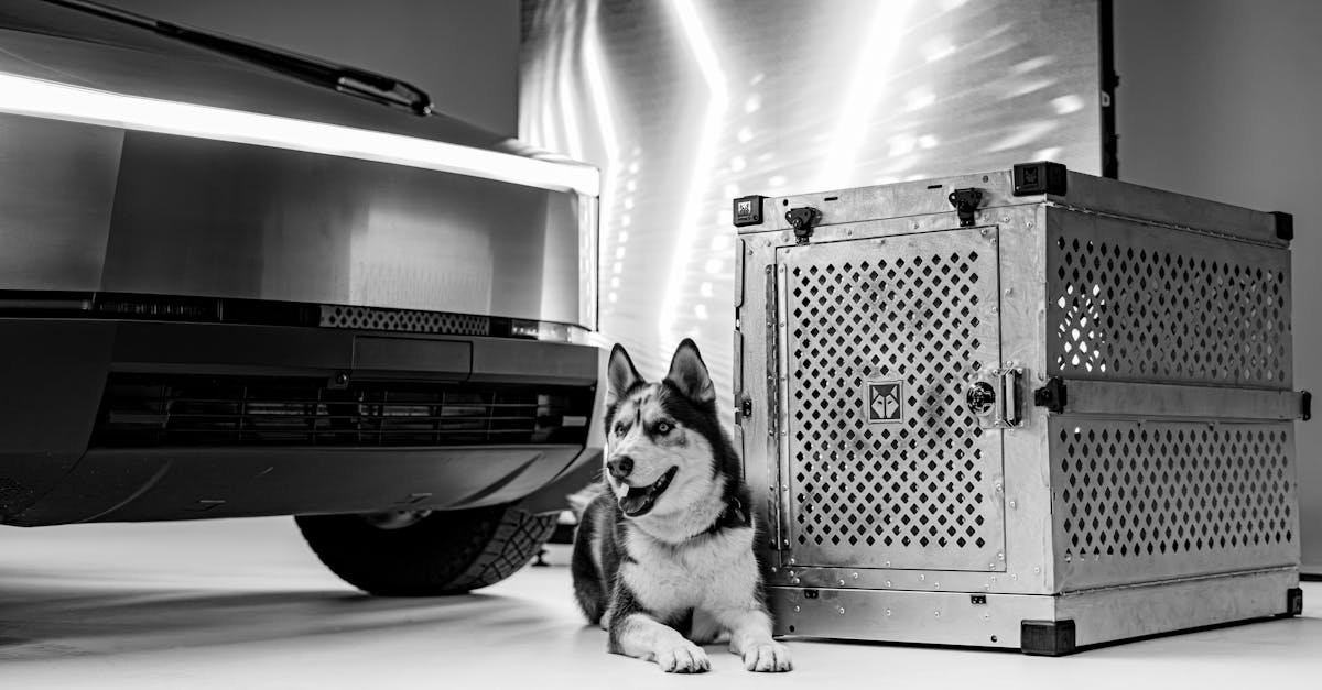 Integrating Ai Into Sales Training Boosting Performance And Efficiency