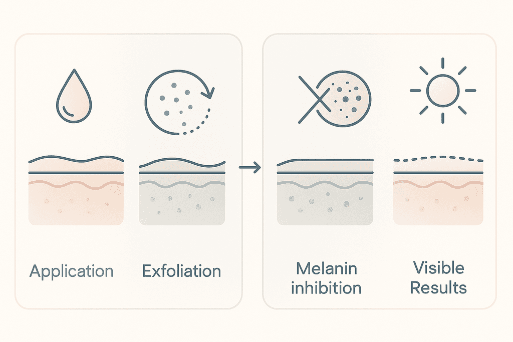 Brightening and Evening Skin Tone