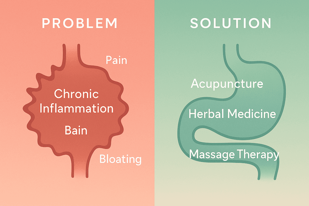 Reduces Inflammation Throughout Your Digestive Tract