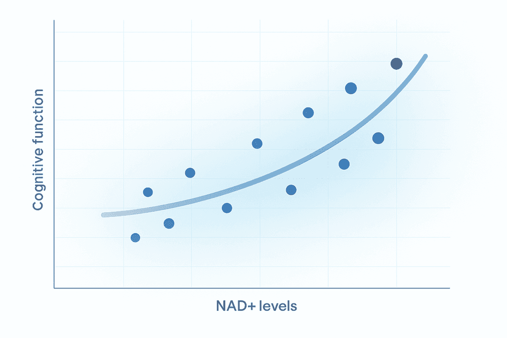 Cognitive Function and Mental Clarity