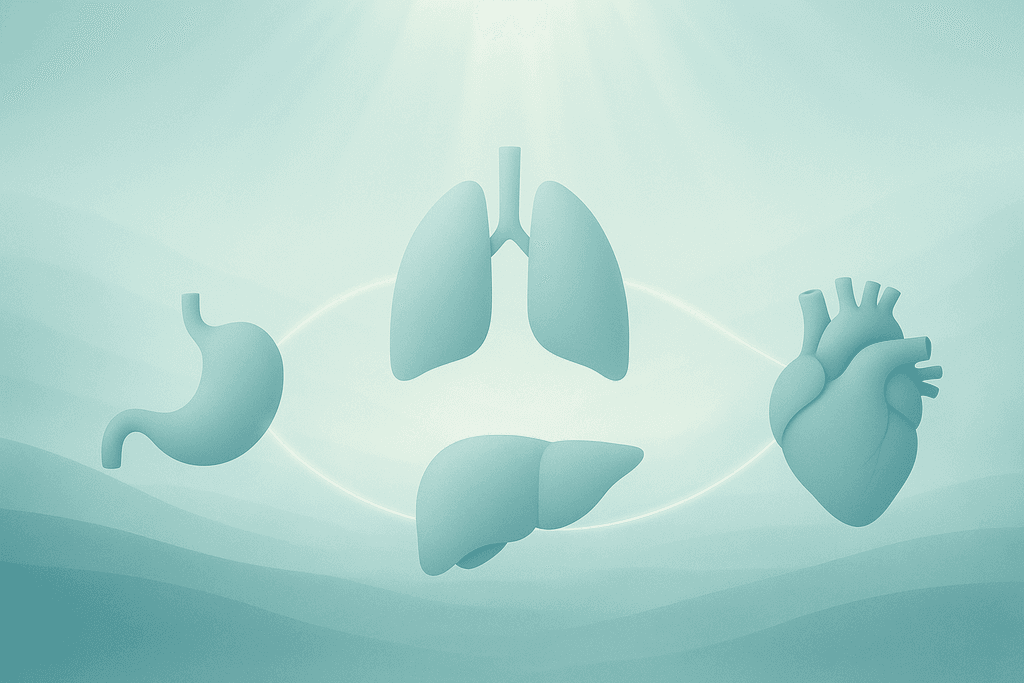 The Benefits of Functional Medicine for Chronic Fatigue