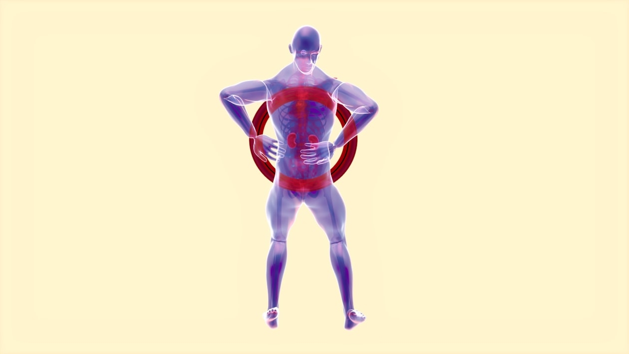 Understanding AI Technology in Body Composition Analysis