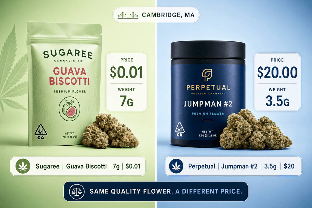 Why Cambridge Cannabis Prices Are Changing
