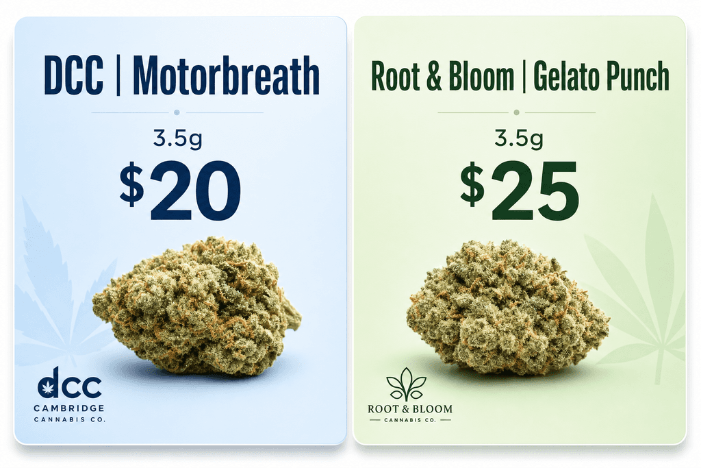 Why Cambridge Has Some of Massachusetts' Best Cannabis Prices