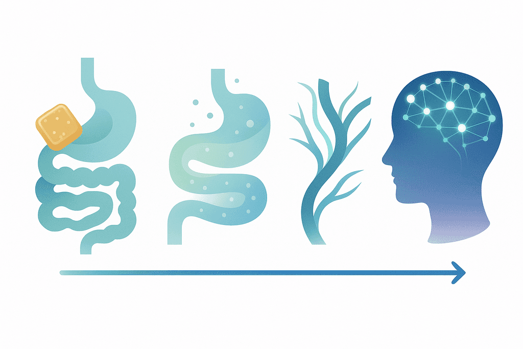 Edibles, Tinctures, and Drinks for Precise Dosing