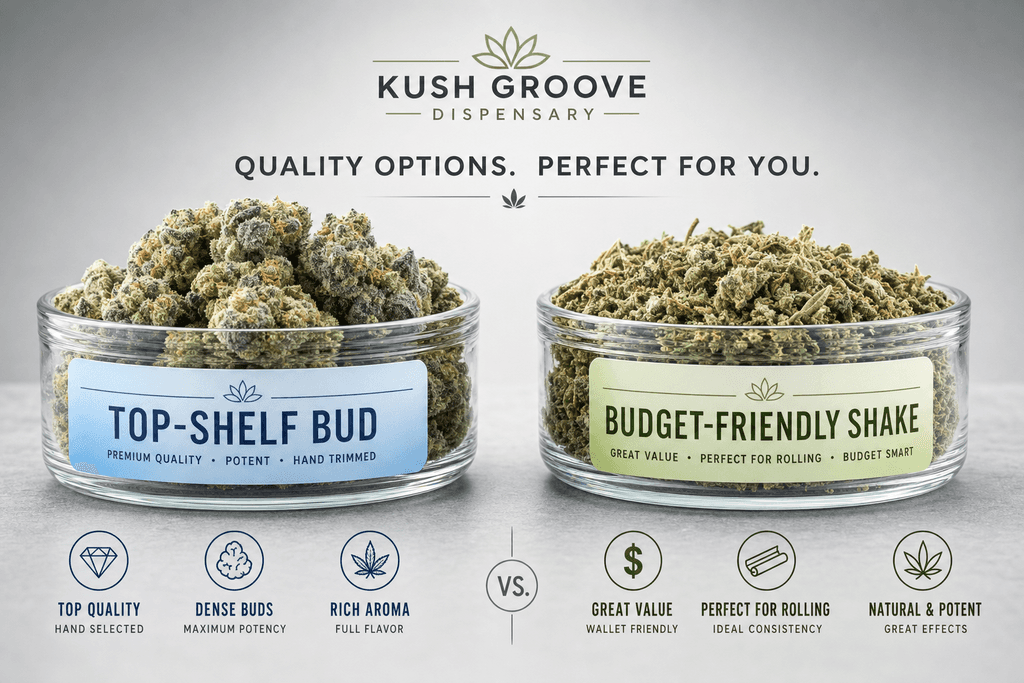 Exploring Product Options at KG Collective