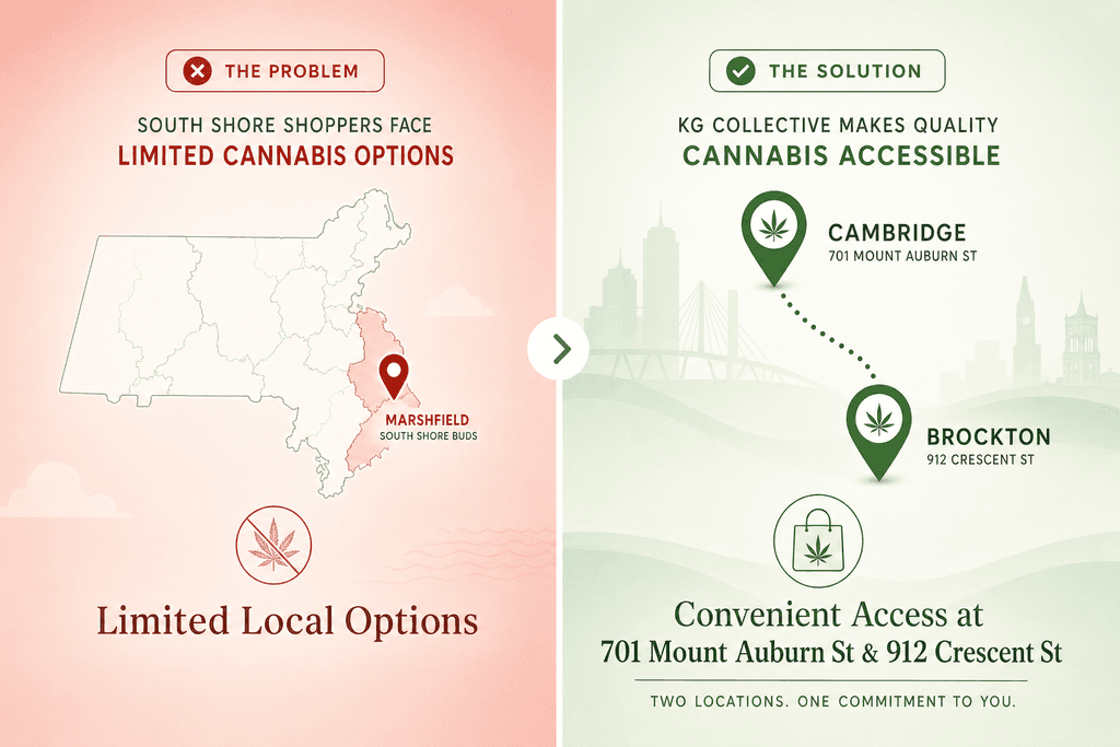 Location Accessibility and Store Hours
