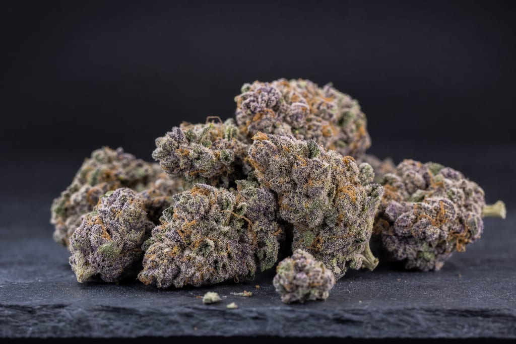 Close-up of dense purple-green cannabis buds with sparkling trichomes on dark slate, super boof strain
