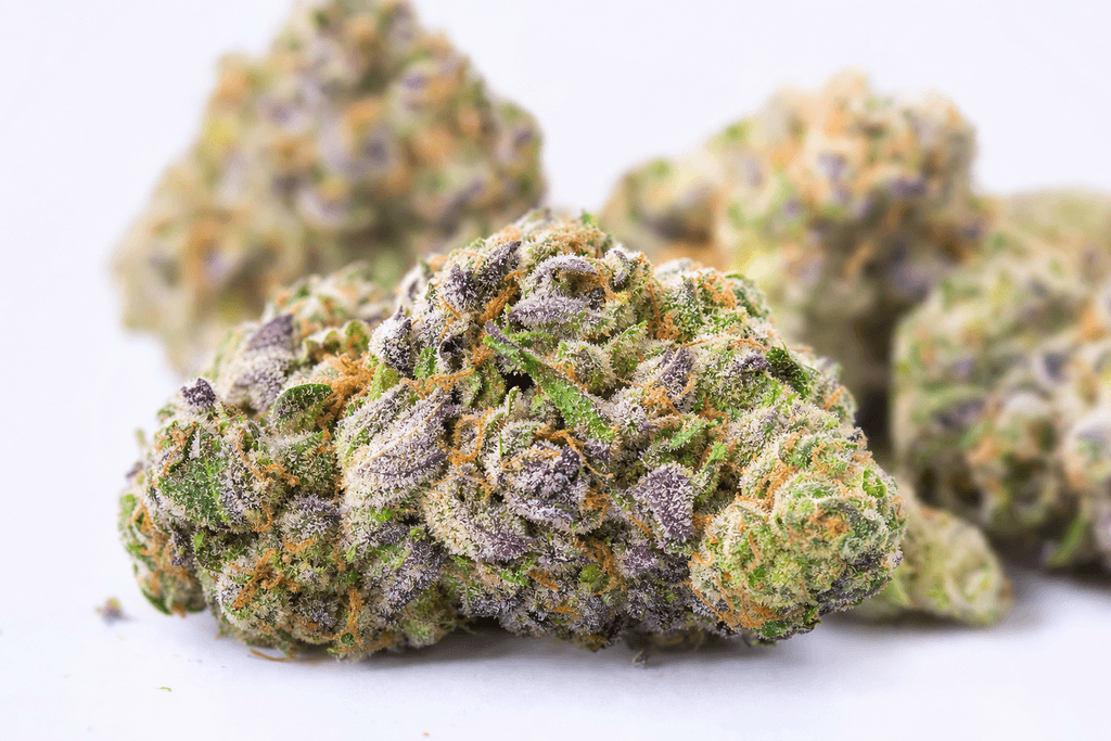 Premium Flower That Won't Empty Your Wallet