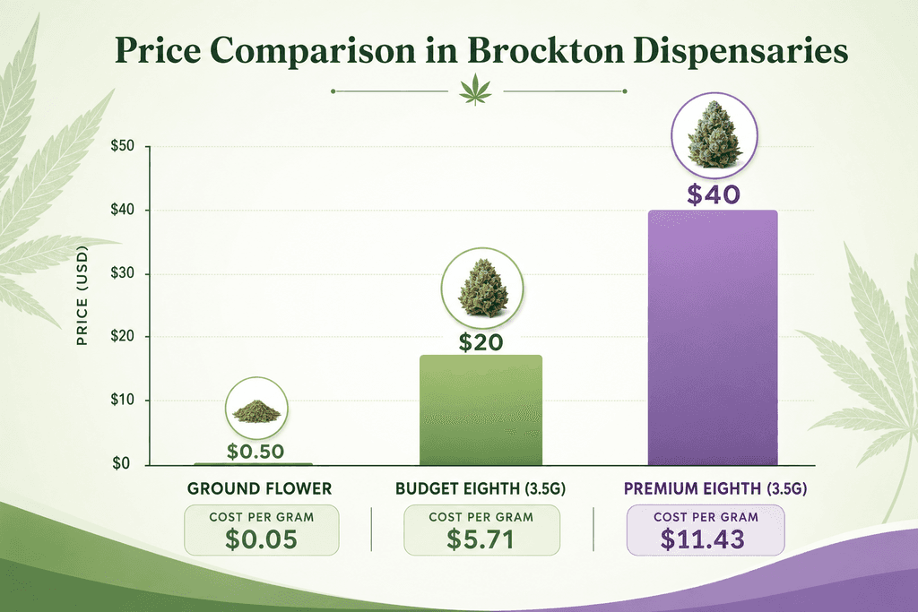 Price Breakdown: What You Actually Pay