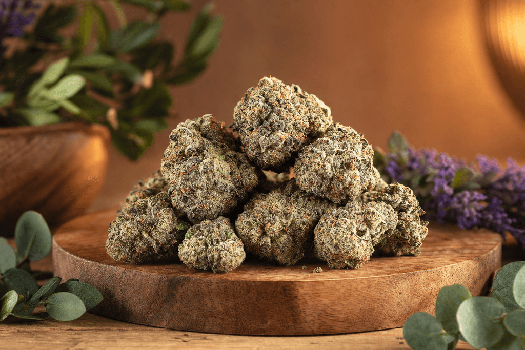 Root & Bloom Gelato Punch - The Sweet Spot at $25