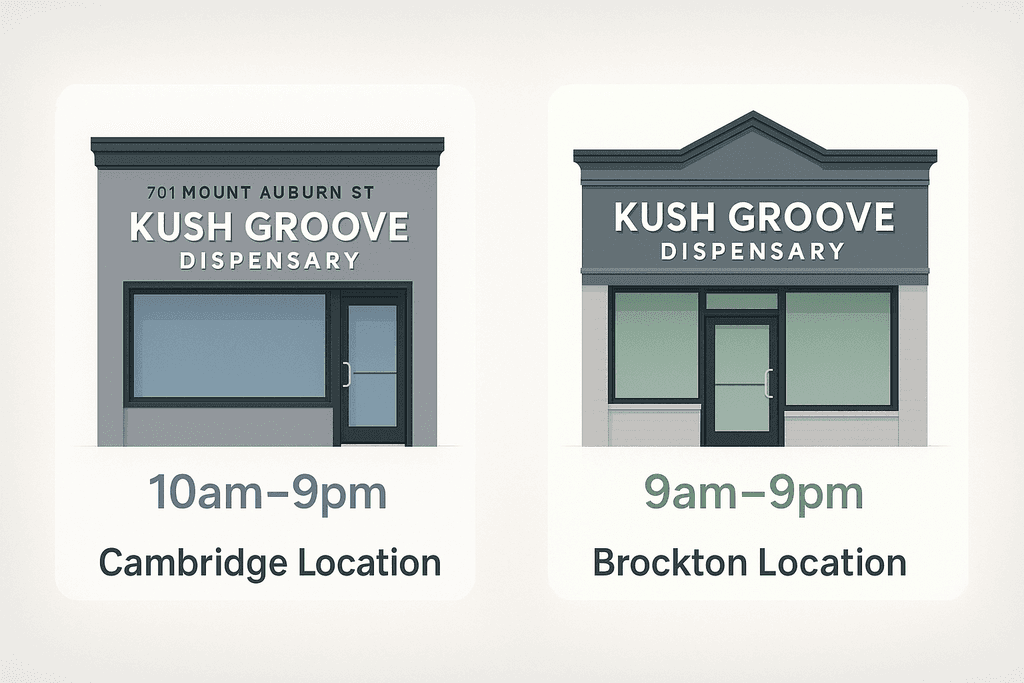 Shopping for Camino Gummies at Kush Groove