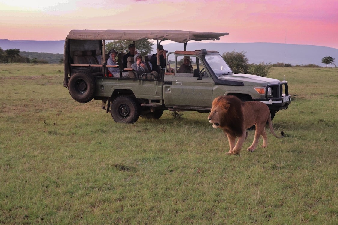 Exploring Rwanda's Volcanoes National Park