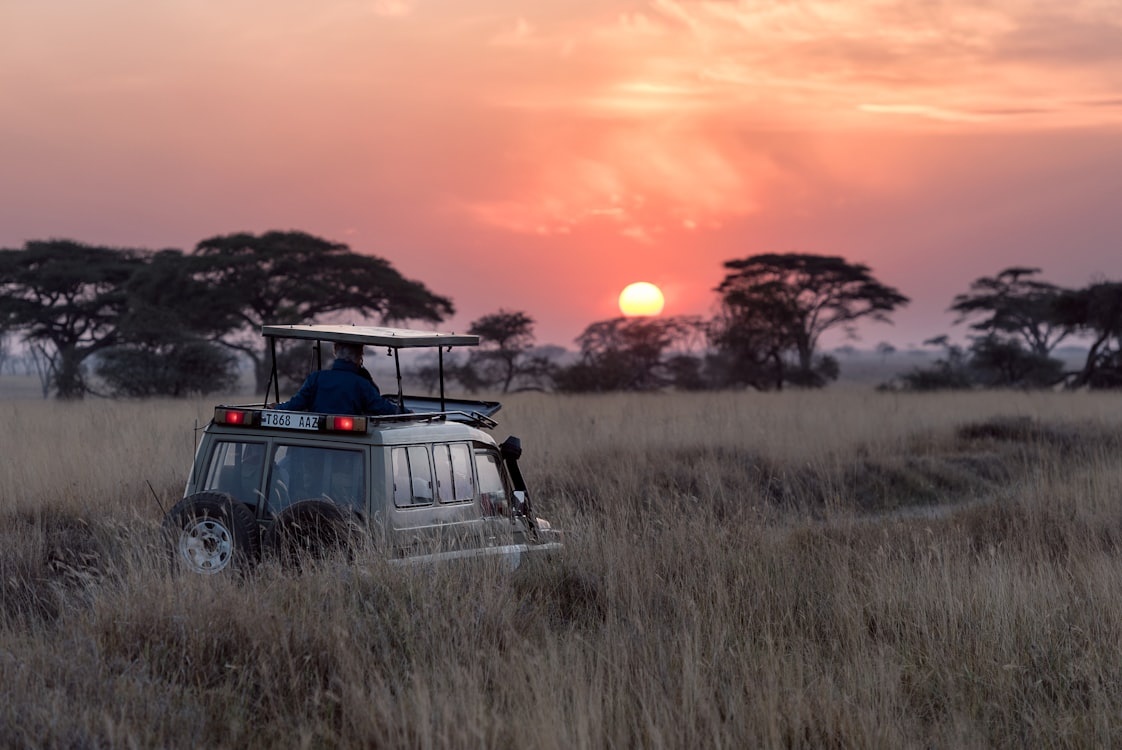 Exploring Tanzania's Top Safari Companies