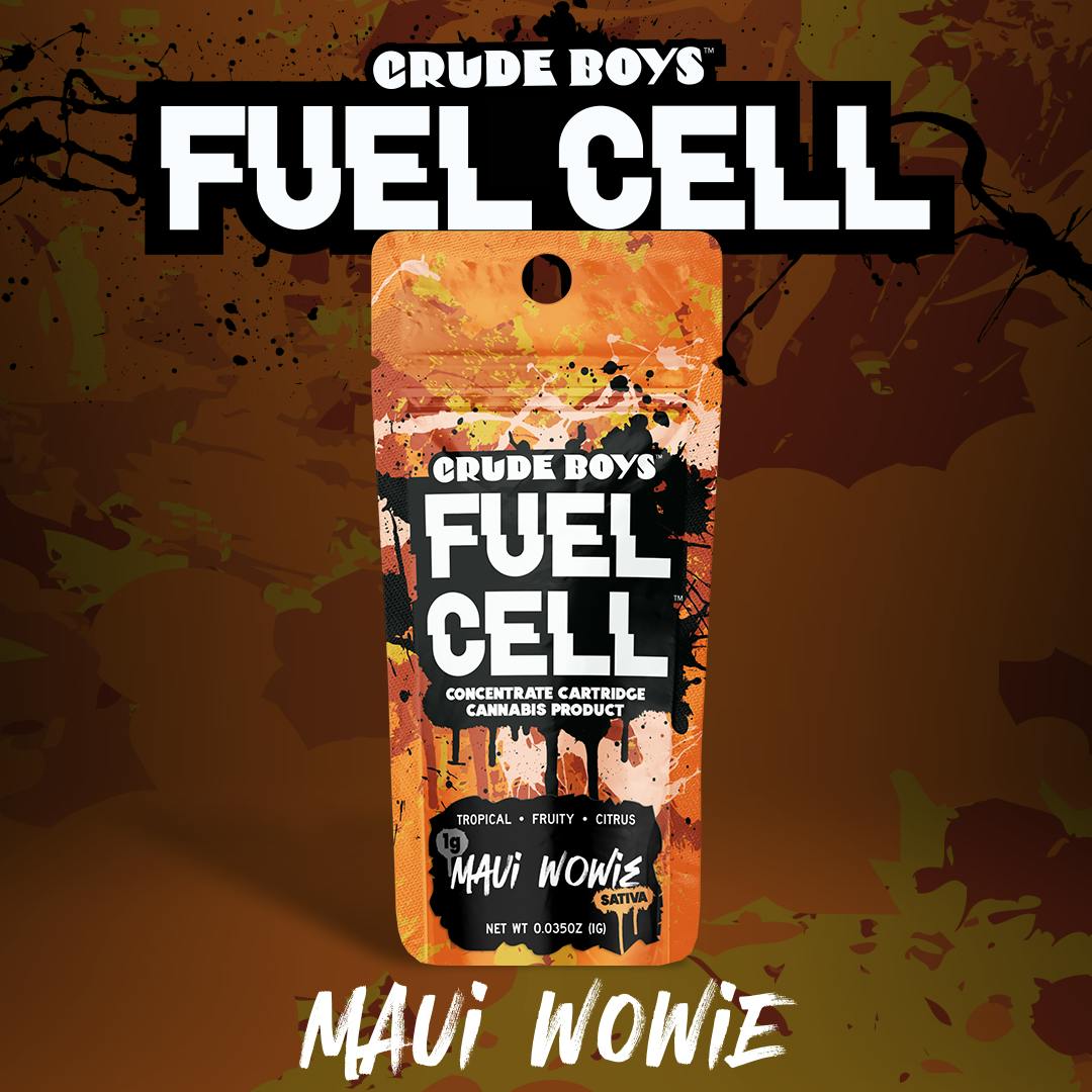 Understanding What's Actually in Your Vape