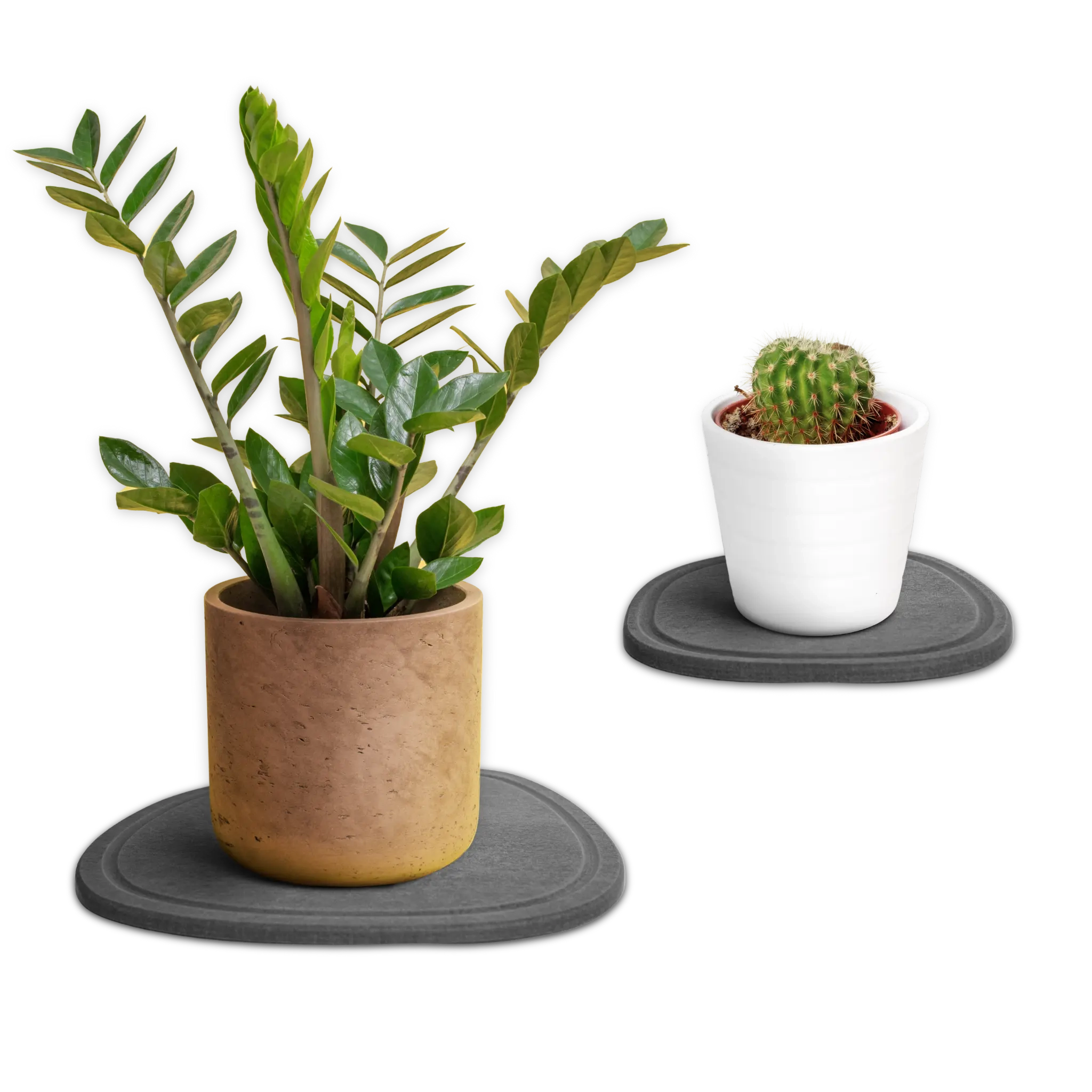 Stone Plant Saucers - Set of 2