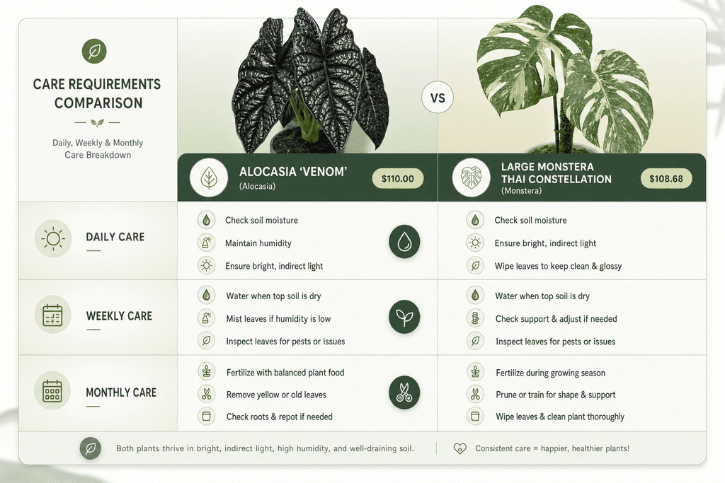 Care Requirements and Maintenance