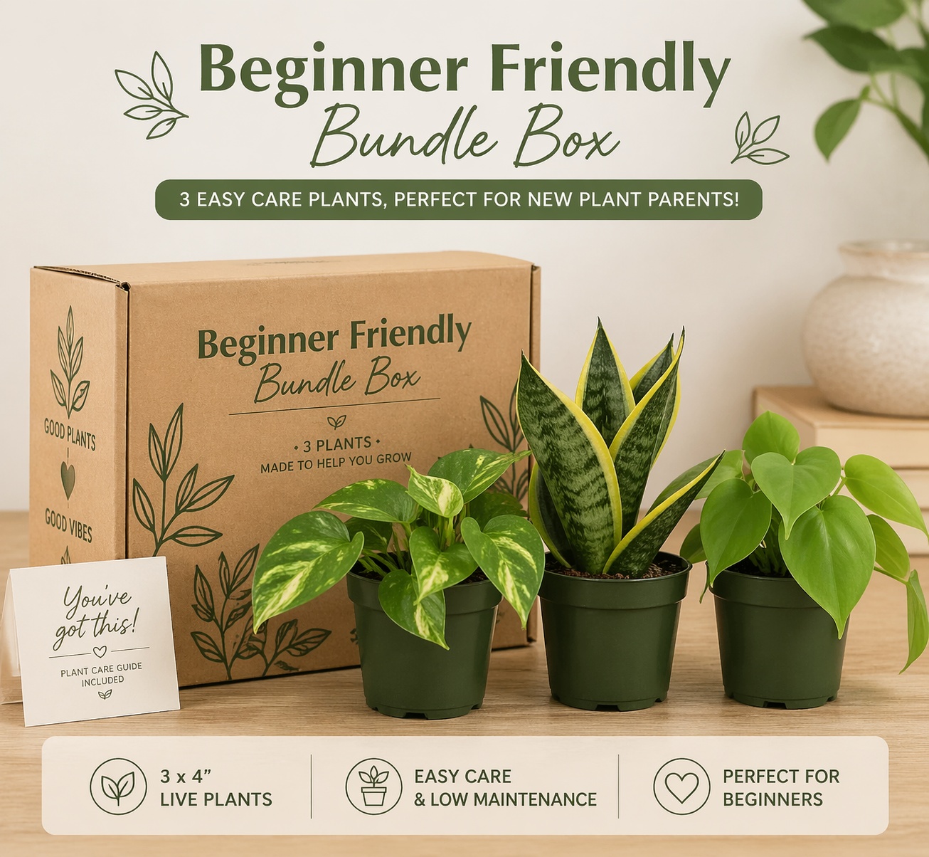 Beginner Friendly Mystery Bundle Box - 3 Easy-Care Plants staged on shelf highlighting Easy houseplants appeal